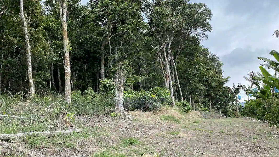 Finca La Esperanza
